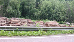 Logging piles