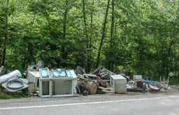 Roadside dump