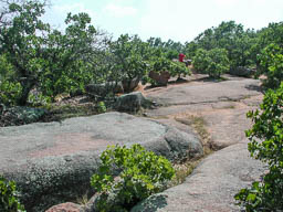 Elephant Rock Photo
