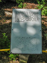 Braille Path