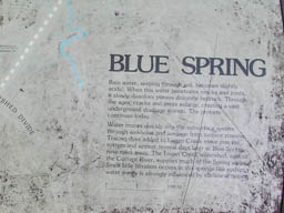 Blue Spring Sign