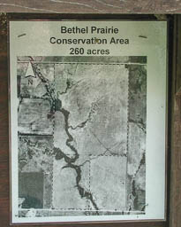 Bethel Prairie