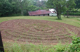 Wide shot of the fledgling labyrinth